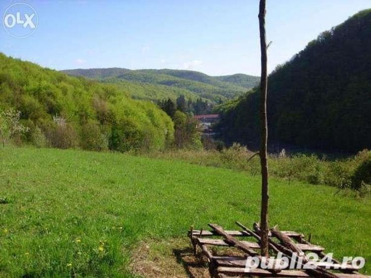 Teren de 18000 mp, în Moneasa