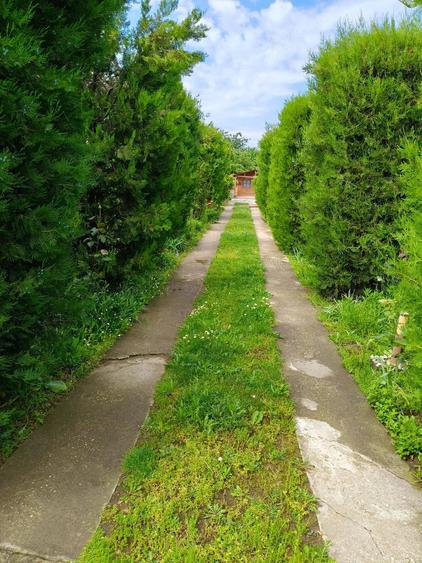 Casă cu Teren 1000 Mp în Mircea Vodă