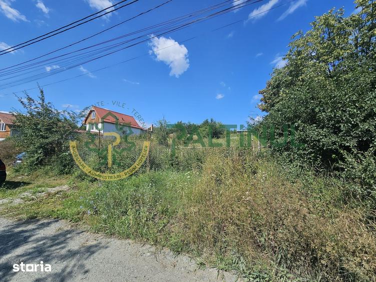 Teren de 2134 mp, în Câineni