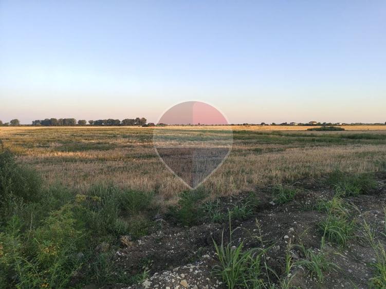 Teren Construcții intravilan de 557.57000732422 mp, în Clinceni