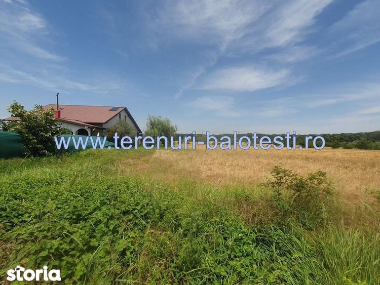 Teren de 620 mp, în Balotești