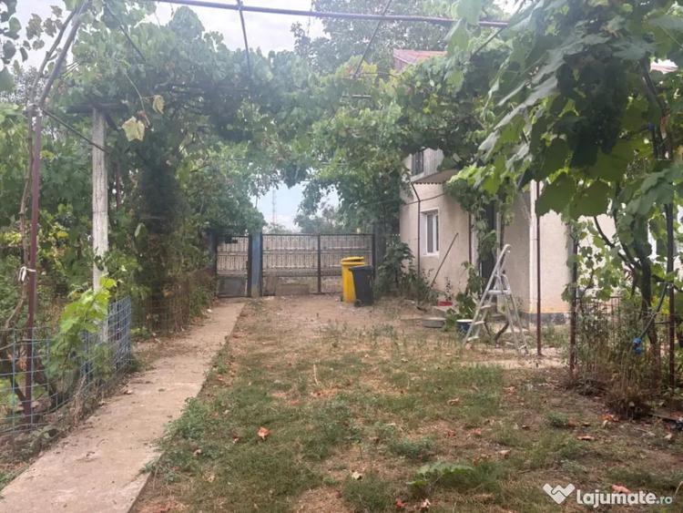 Casă cu 1 camere cu Teren 2023 Mp în Leu