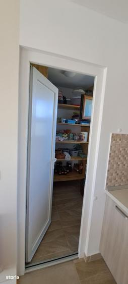 Casă cu 4 camere cu Teren 1233 Mp în Dumbrăvița
