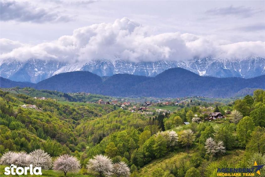 Teren de 6966 mp, în Fundata