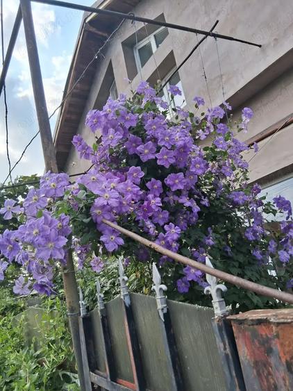 Casă cu 4 camere în Dascălu