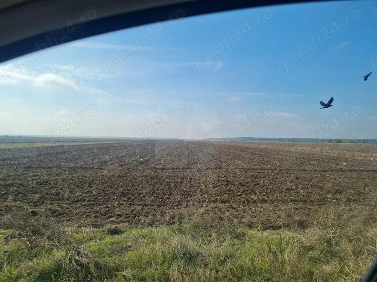 Teren de 4400 mp, în Central