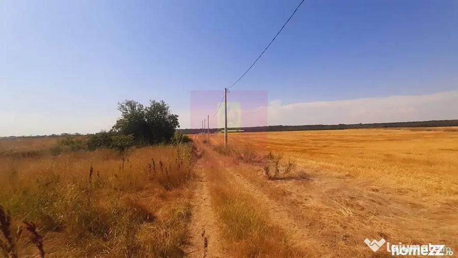 Teren de 2000 mp, în Brănești