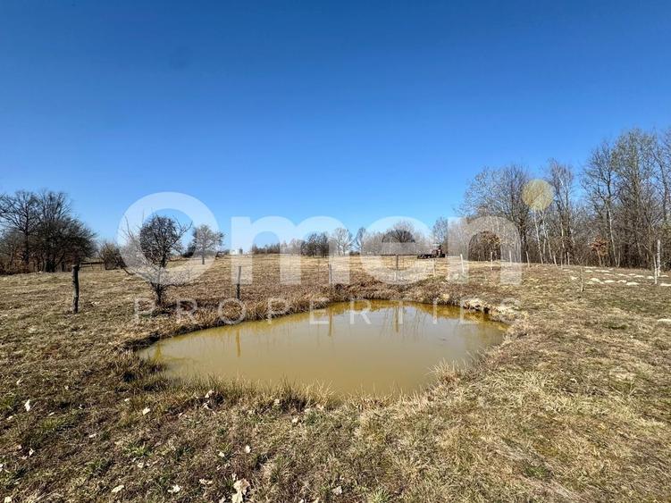 Teren agricol intravilan de 5800 mp, în Berința