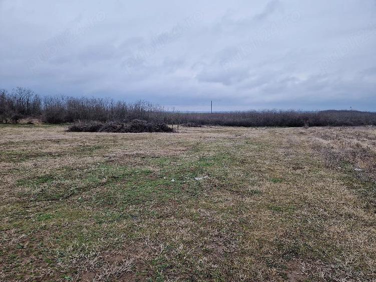 Teren de 4000 mp, în Cârcea