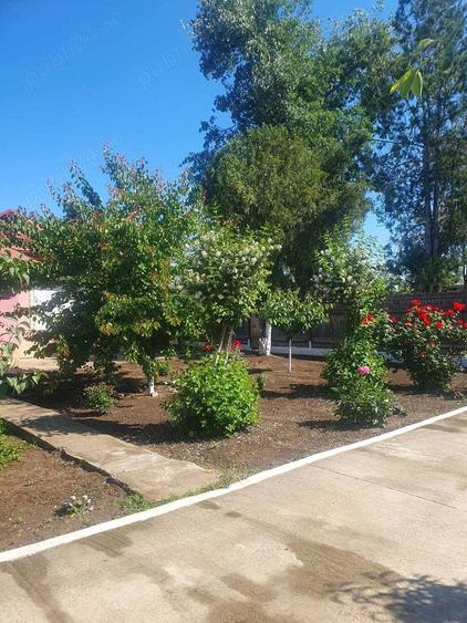 Casa de vanzare DN25 com.Independenta jud.Galati - 9