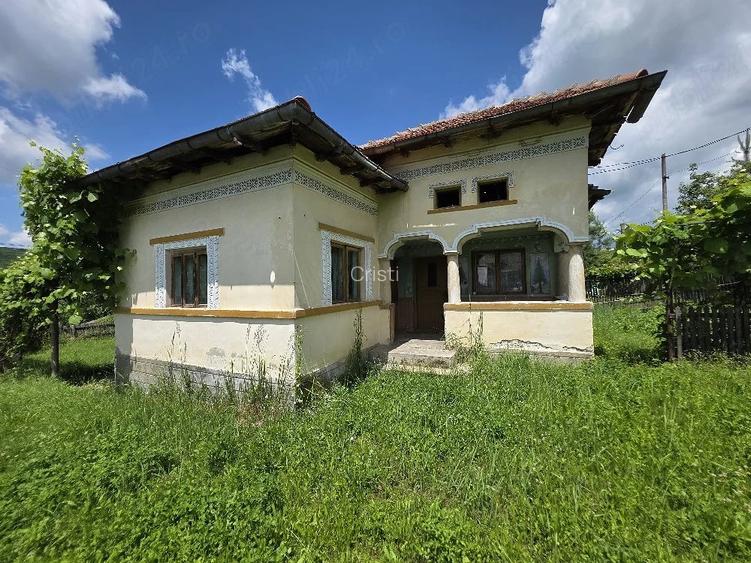 Casa batraneasca cu teren 3000 m, Calinesti, Arges