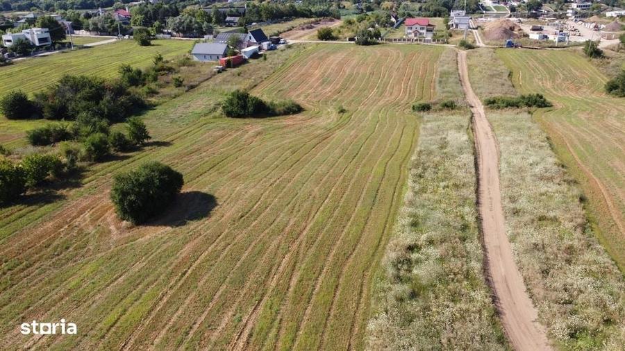Teren intravilan 10.789 mp in Snagov - 4