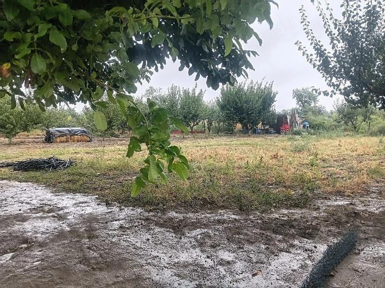 Teren de 1000 mp, în Gheorghe Lazăr