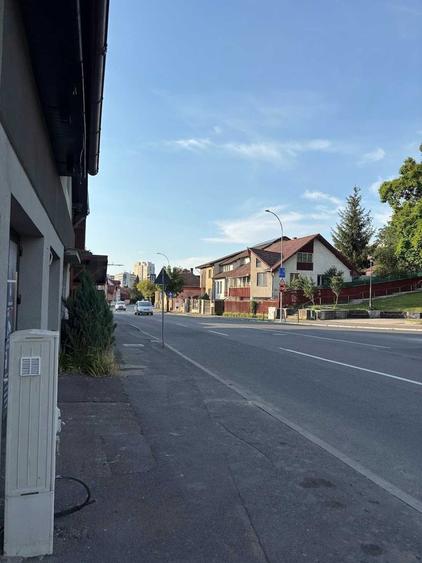 Spatiu comercial de inchiriat vad comercial - 3