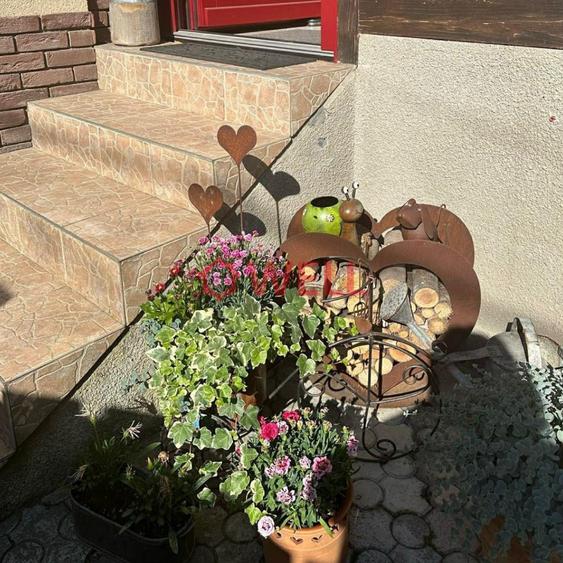 Casă individuală cu 6 camere cu Teren 250 Mp în Unirii