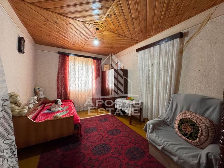 Casa batraneasca + Constructie la rosu, in sat Pesac, judetul Timis - 32