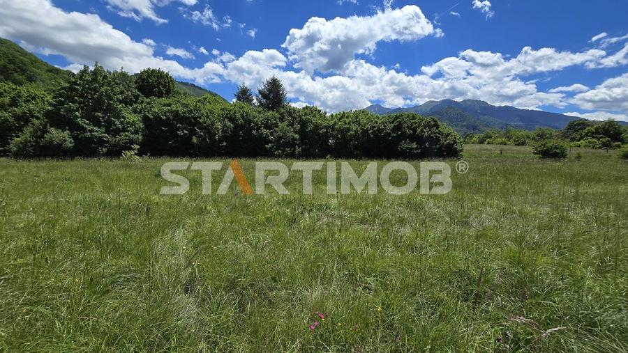 Teren Construcții extravilan de 5000 mp, în Glăjărie