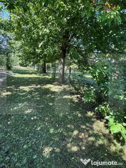 Casă cu 3 camere cu Teren 3095 Mp în Central