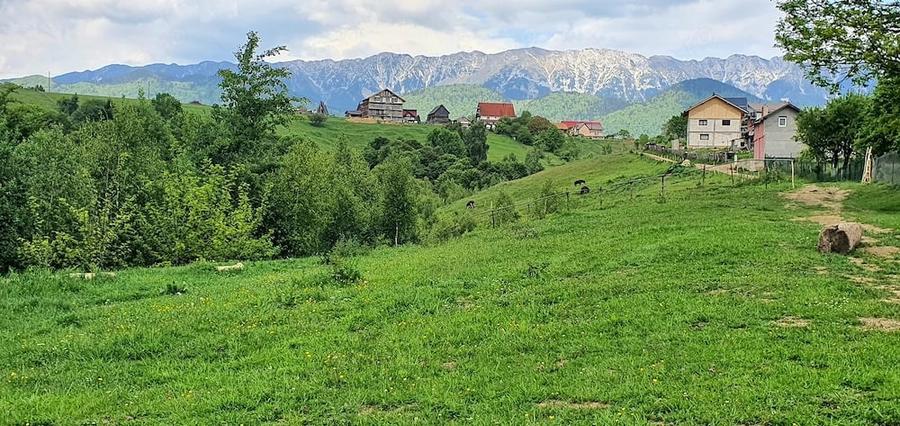 Teren de 2500 mp, în Peștera