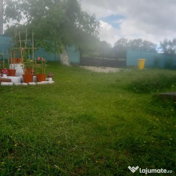 Casă cu 2 camere în Central