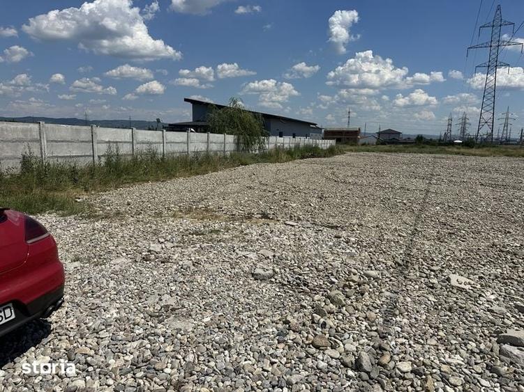 Teren de 6000 mp, în Mărăcineanu