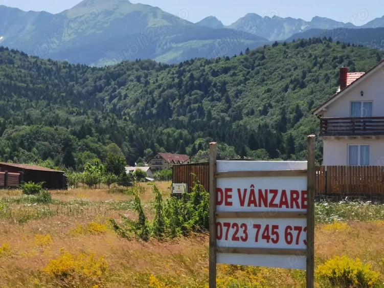 Teren de 1000 mp, în Sâmbăta de Sus