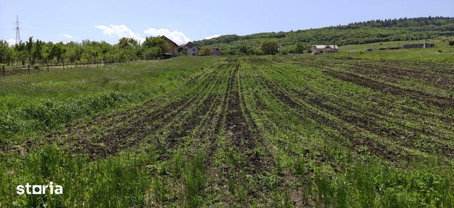 Teren de 2900 mp, în Tureni