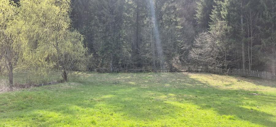 Teren de 4096 mp, în Tarcău
