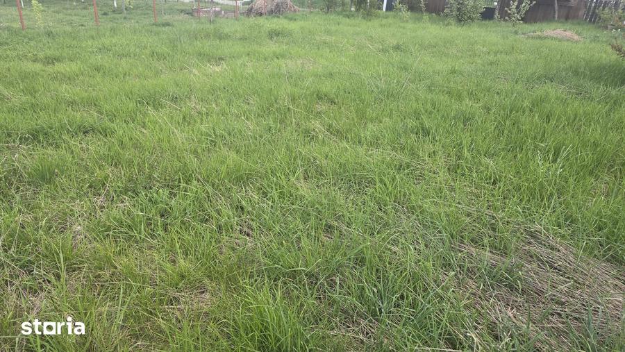 Teren de 400 mp, în Zăvoi