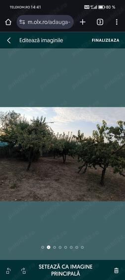 Casă cu 3 camere în Segarcea-Deal