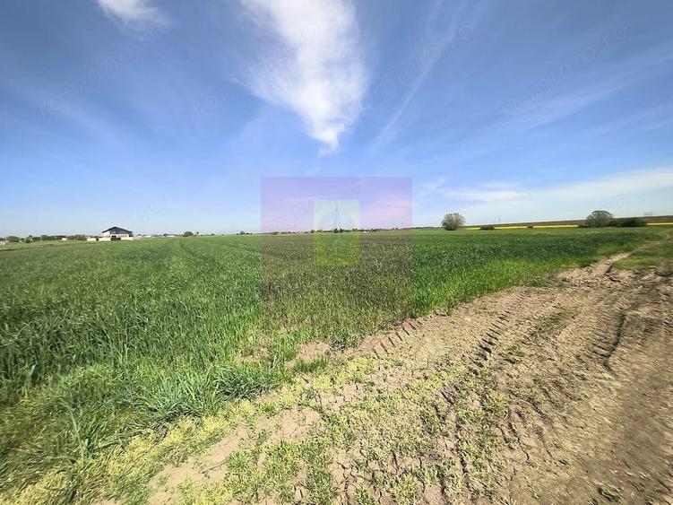 Teren de 2200 mp, în Dărăști-Ilfov