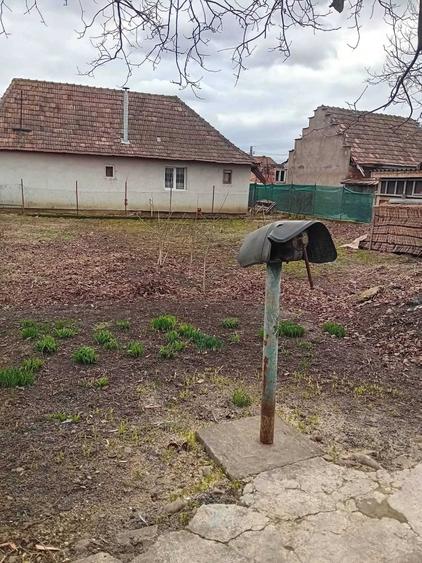 Casă cu 2 camere în Central