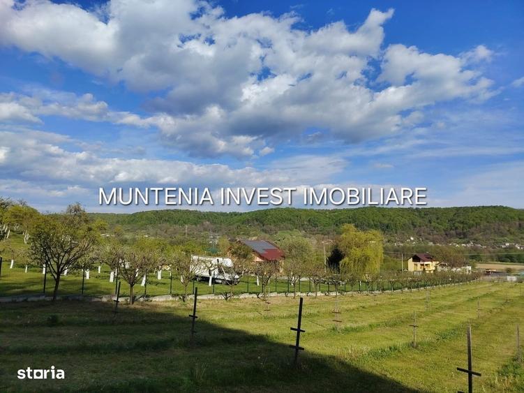 Spațiu comercial, în Albota