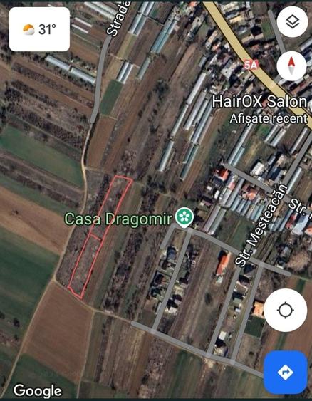 Teren de 1500 mp, în Adunații-Copăceni