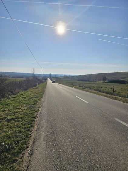 Teren agricol intravilan de 68150 mp, în Gepiu