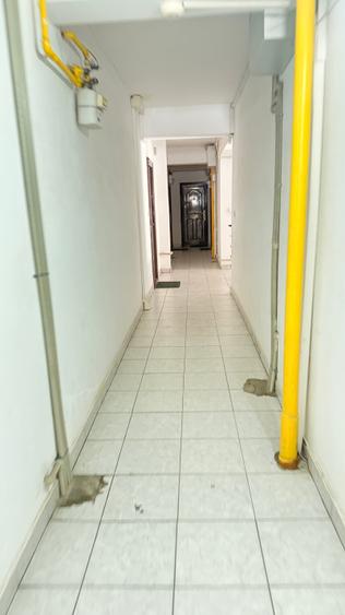 Apartament cu 2 camere decomandat în Valea Borcutului
