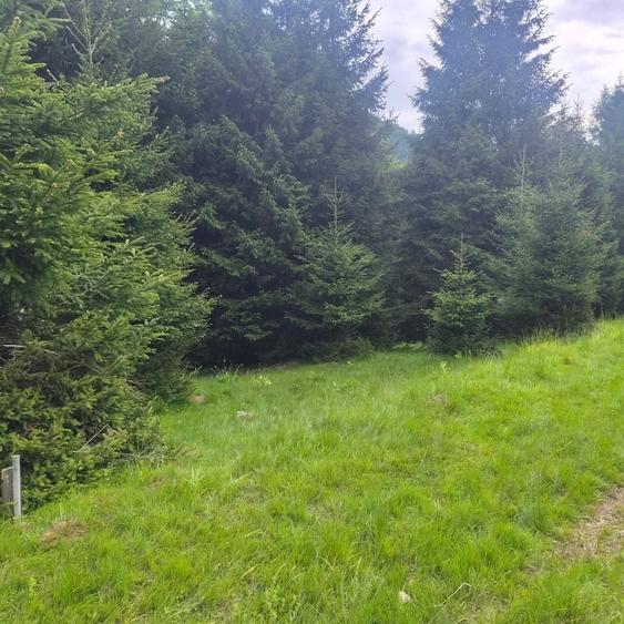 Teren de 300 mp, în Brădățel