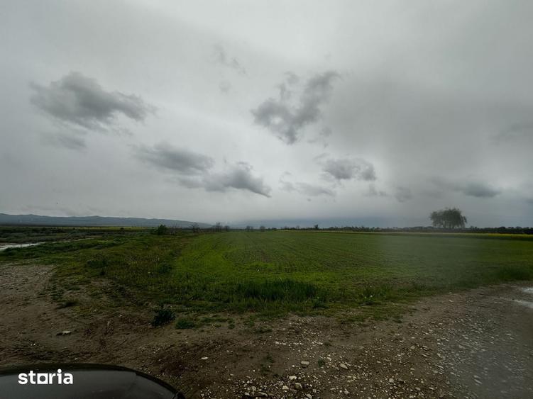 Teren de 2500 mp, în Câmpineanca