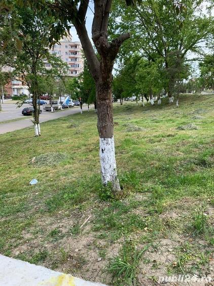 Teren de 2025 mp, în Central