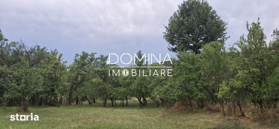 Casă cu 2 camere cu Teren 6770 Mp în Bengești