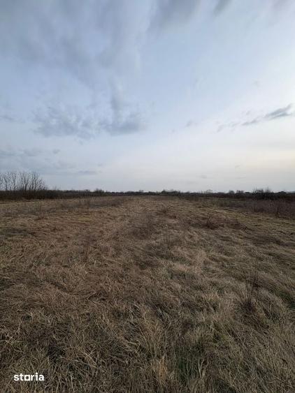 Teren de 10000 mp, în Tăuții-Măgherăuș