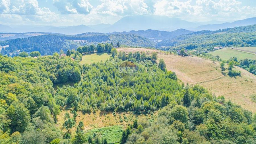 Teren agricol extravilan de 3906 mp, în Poiana Mărului