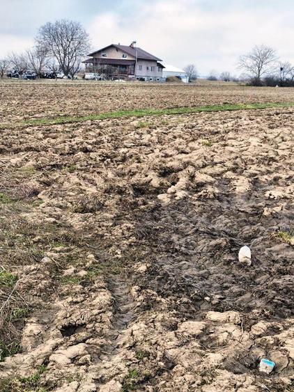 Teren agricol extravilan de 5000 mp, în Vărăști
