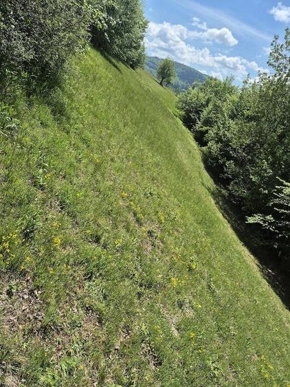 Teren de 3000 mp, în Ponor