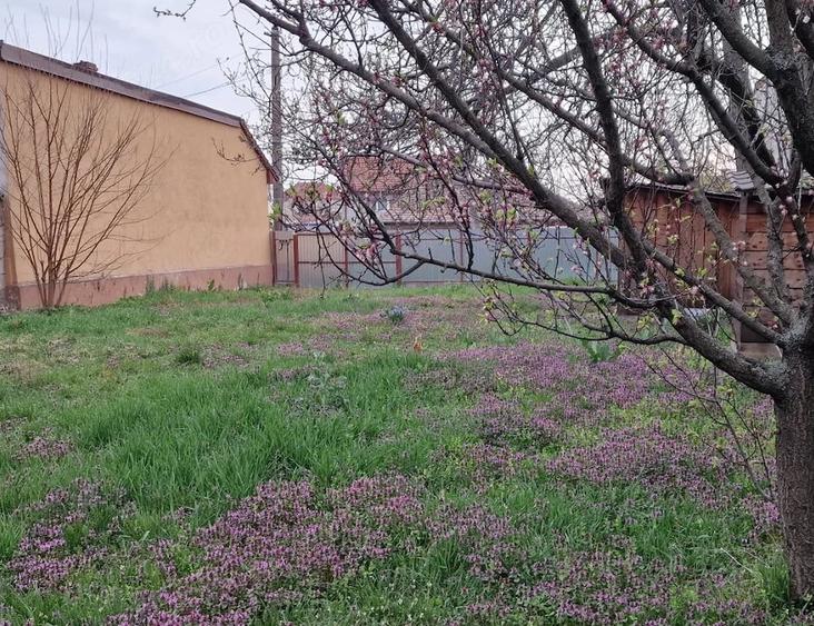 Teren de 540 mp, în Iosia