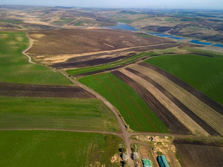 Teren de 8000 mp, în Copăceni