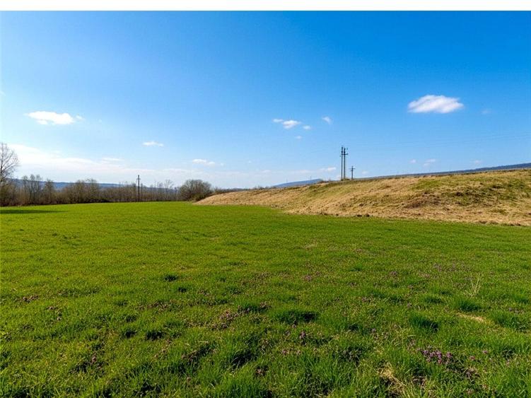 Teren Construcții extravilan de 12400 mp, în Pătrăuți