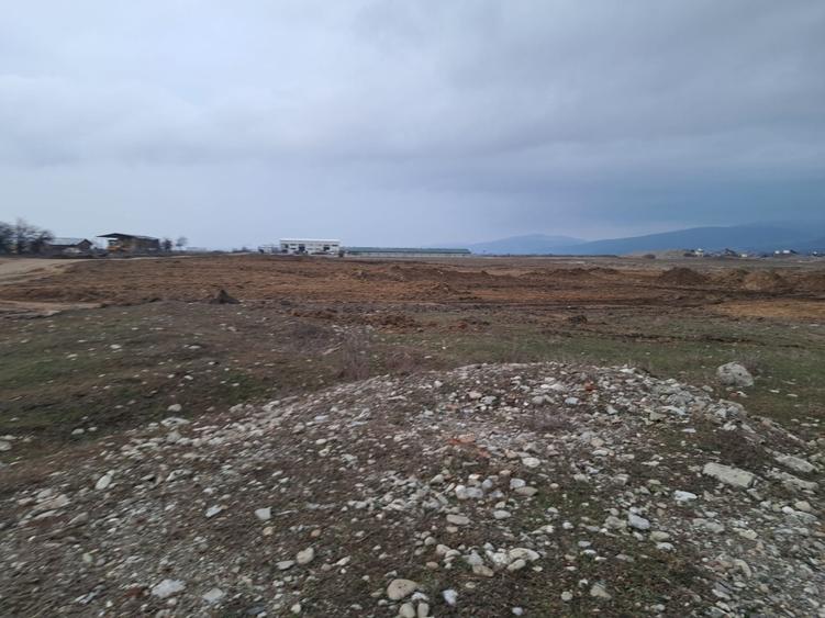 Teren Construcții intravilan de 1450 mp, în Tărlungeni