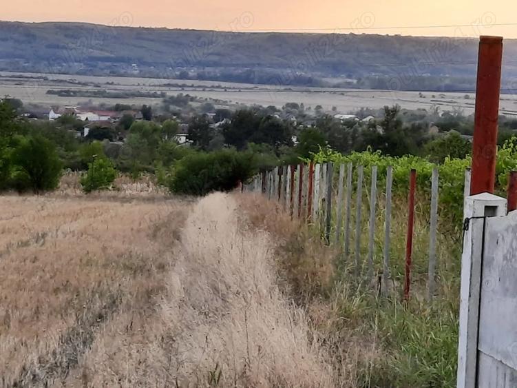 Teren de 1500 mp, în Central