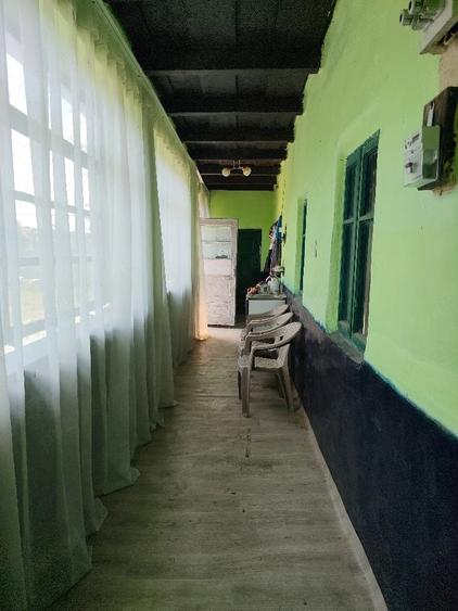 Casă cu 3 camere cu Teren 10000 Mp în Central